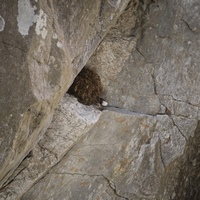 Photo de France - La randonnée des Gorges d'Héric